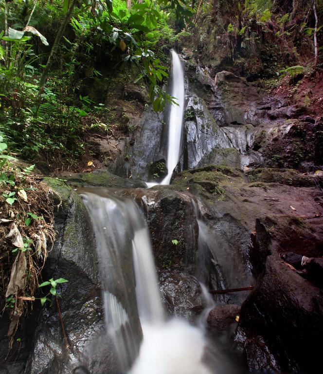 Bali Eco Adventure And Retreat Center Hotel Tegallalang  Buitenkant foto