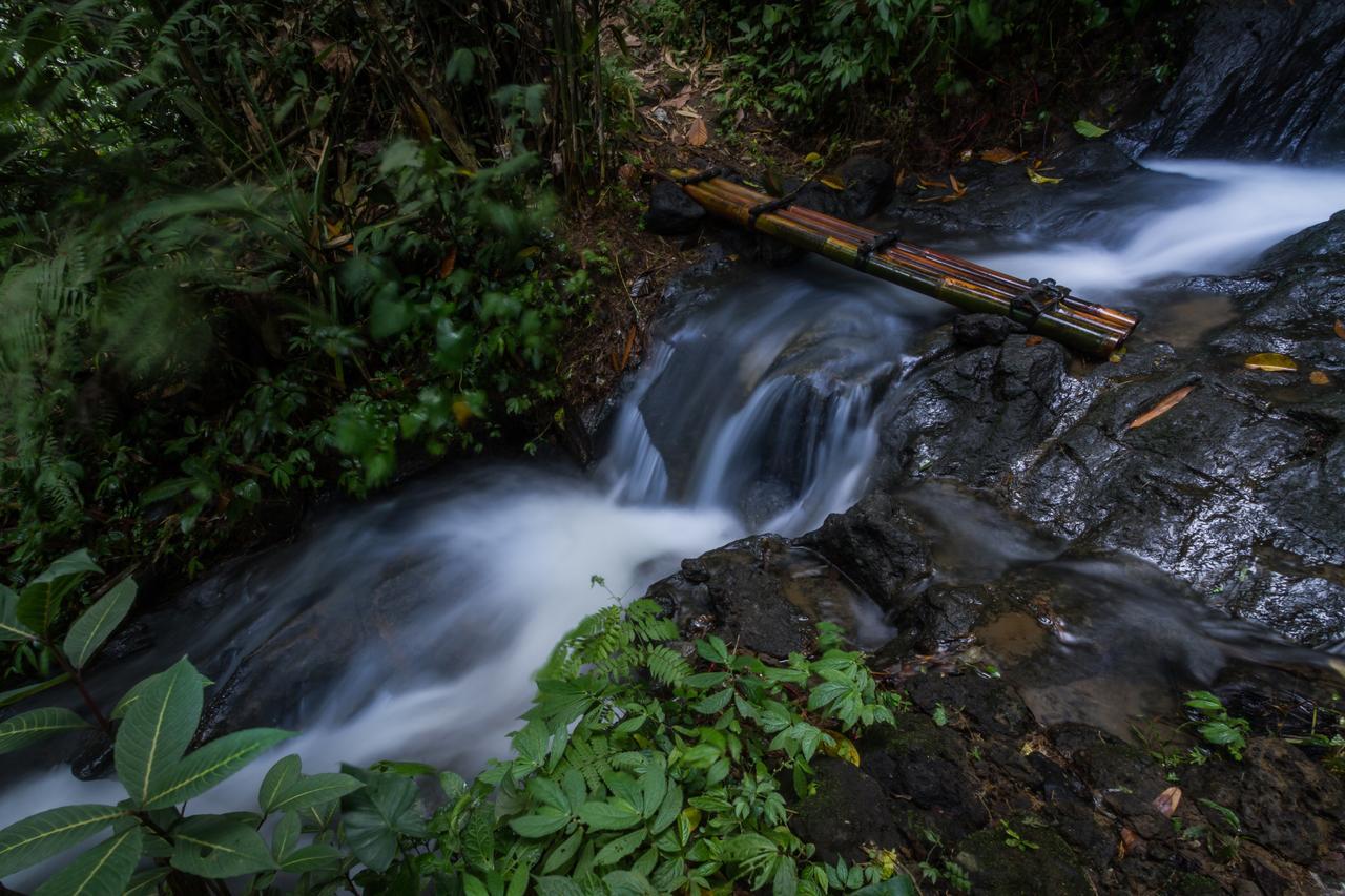 Bali Eco Adventure And Retreat Center Hotel Tegallalang  Buitenkant foto