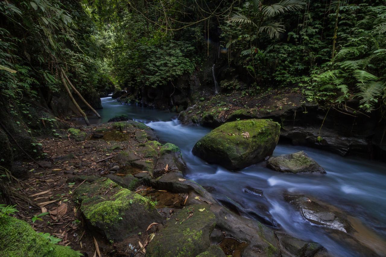Bali Eco Adventure And Retreat Center Hotel Tegallalang  Buitenkant foto