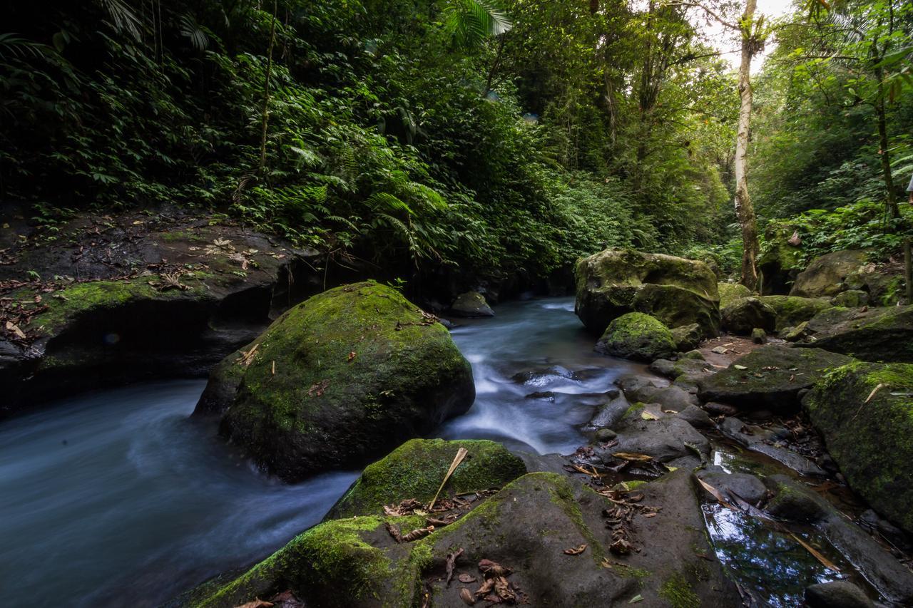 Bali Eco Adventure And Retreat Center Hotel Tegallalang  Buitenkant foto