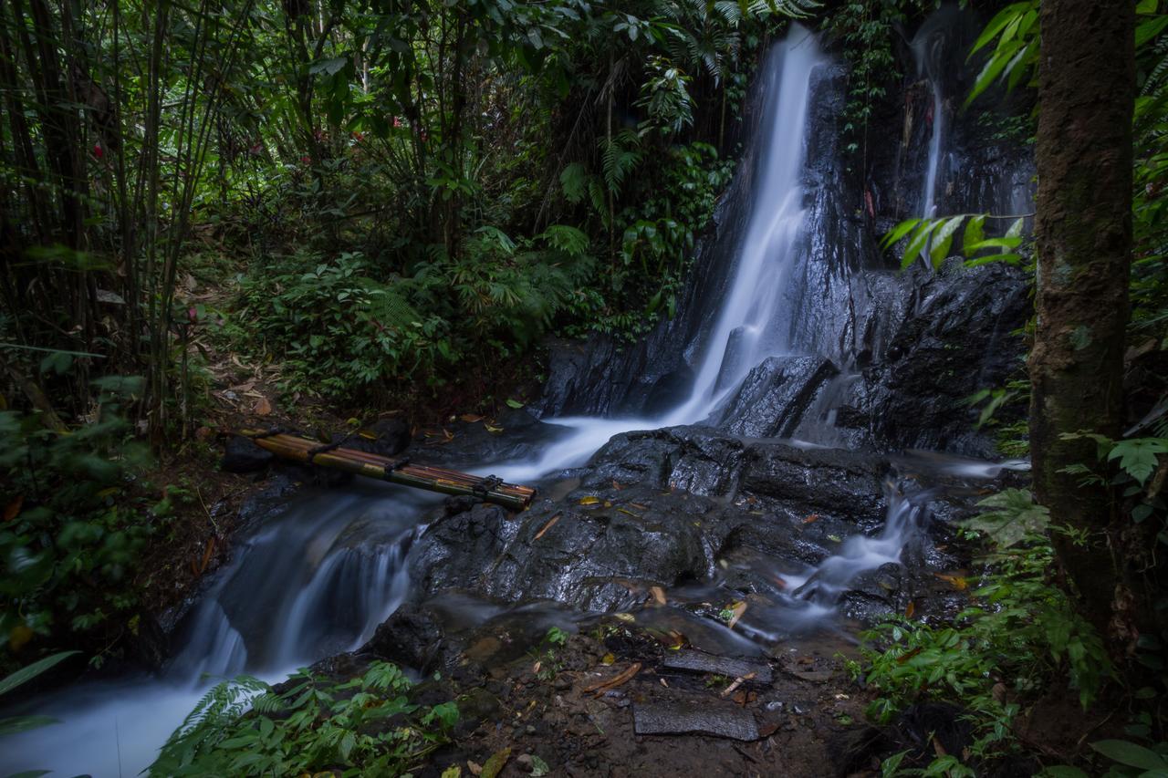 Bali Eco Adventure And Retreat Center Hotel Tegallalang  Buitenkant foto